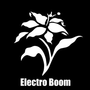 Electro Boom