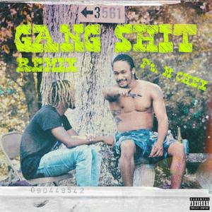 Gang **** (feat. M. Chex) [Remix] [Explicit]