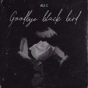 Goodbye Black Bird