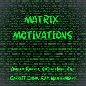 Matrix Motivations