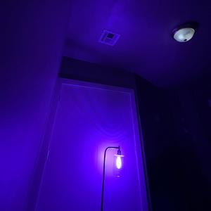 Neverland (Explicit)