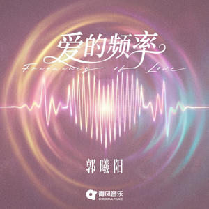 爱的频率 (时差版)