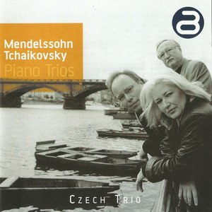 Piano Trio in d Minor, Op. 49 - IV Finale. Allegro assai appassionato