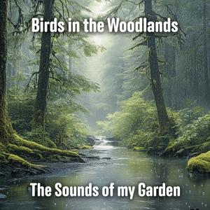 Heron’s Reflection