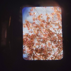 Shits Stale (Original Mix)