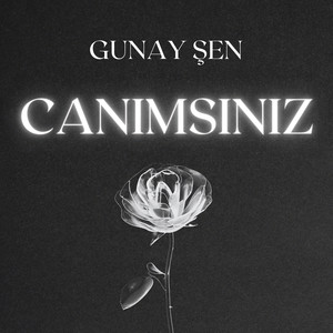 Canimsiniz
