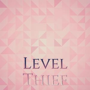 Level Thief