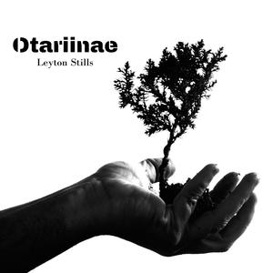 Otariinae