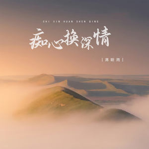 痴心换情深封面