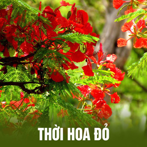 Thời hoa đỏ