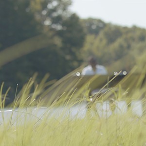 Larmes du printemps (Inst.)