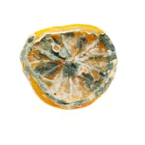 ROTTEN LEMONS (Explicit)