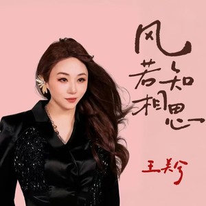 王美兮 - 风若知相思 (伴奏)