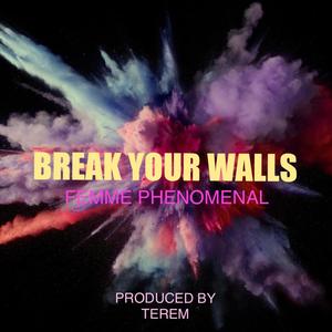 Break Your Walls (feat. Terem)