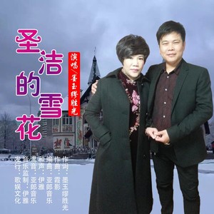 圣洁的雪花