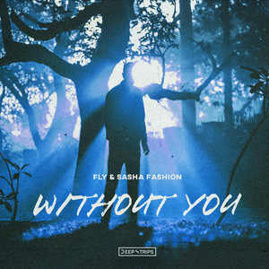 Without You (Original Mix)