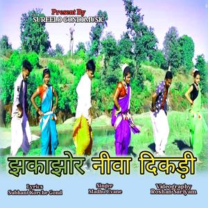 Jhakajhor Niva Dikdi (Explicit)