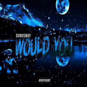 Would You (Explicit)