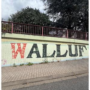 WALLUF (feat. SAVAJ DAJJAL)