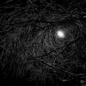 孤独的人活在幻想中