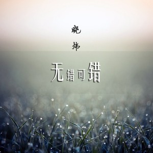无错可错 (伴奏)