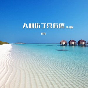 人心伤了只有疼 (DJ版)