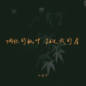 惆怅的枫叶 拍过我的肩