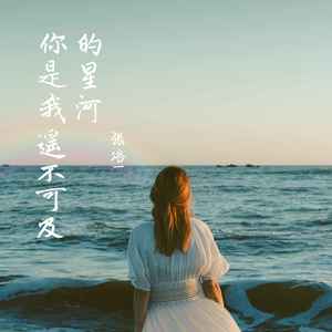 遥不可及的星河 (DJ版)