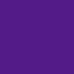Vamp anthem (Explicit)