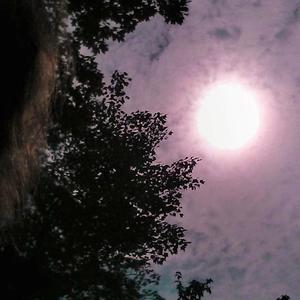 An Instant Instance (feat. Tom Nazziola)