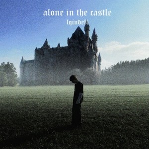 alone in the castle
