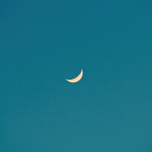 Don't want to let you go (Inst.)