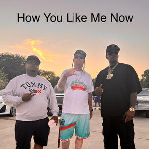 How You Like Me Now (feat. Kyle Lee & Liveola) [Explicit]