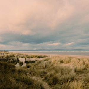what the wind whispered