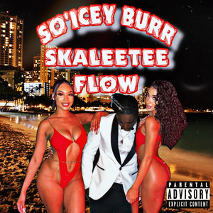 Skaleetee Flow (Explicit)