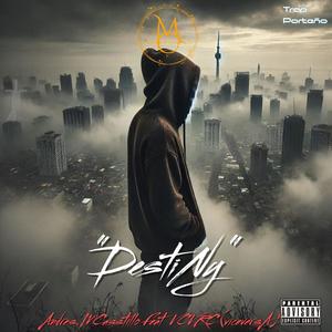 Destiny (feat. Viceversa vcvrc) (Explicit)