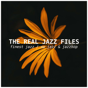 The Real Jazz Files