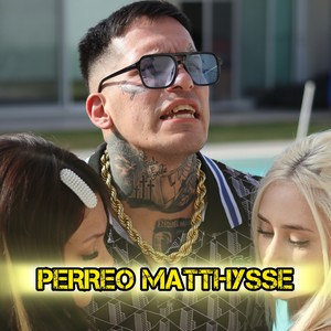 Perreo Matthysse