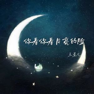 你看你看月亮的脸
