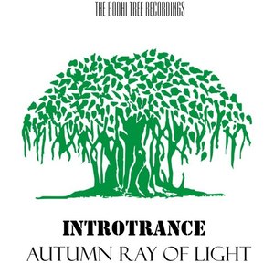 Autumn Ray of Light