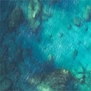 歌颂者 (Demo)