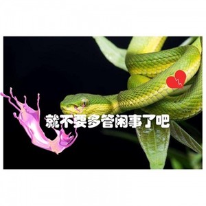 就不要多管闲事了吧