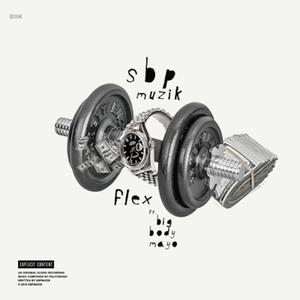 Flex (feat. Big Body Mayo) (Explicit)