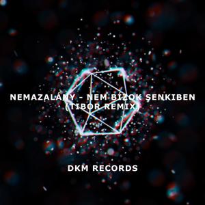 NEM BÍZOK SENKIBEN (Tibor Remix|Explicit)