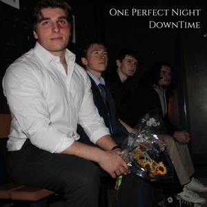 One Perfect Night