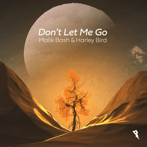 Don't Let Me Go