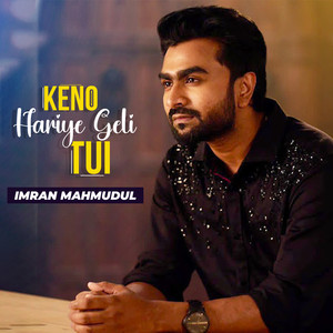 Keno Hariye Geli Tui