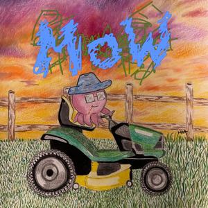 MoW (Explicit)