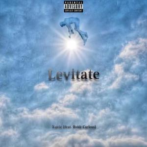 Levitate (feat. Robb Carloss)