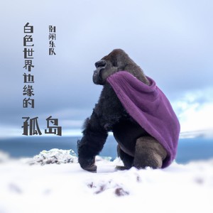 白色世界边缘的孤岛